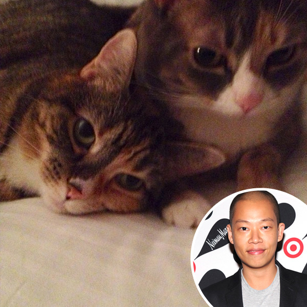 Jason Wu, Cats Jason Wu, Cats